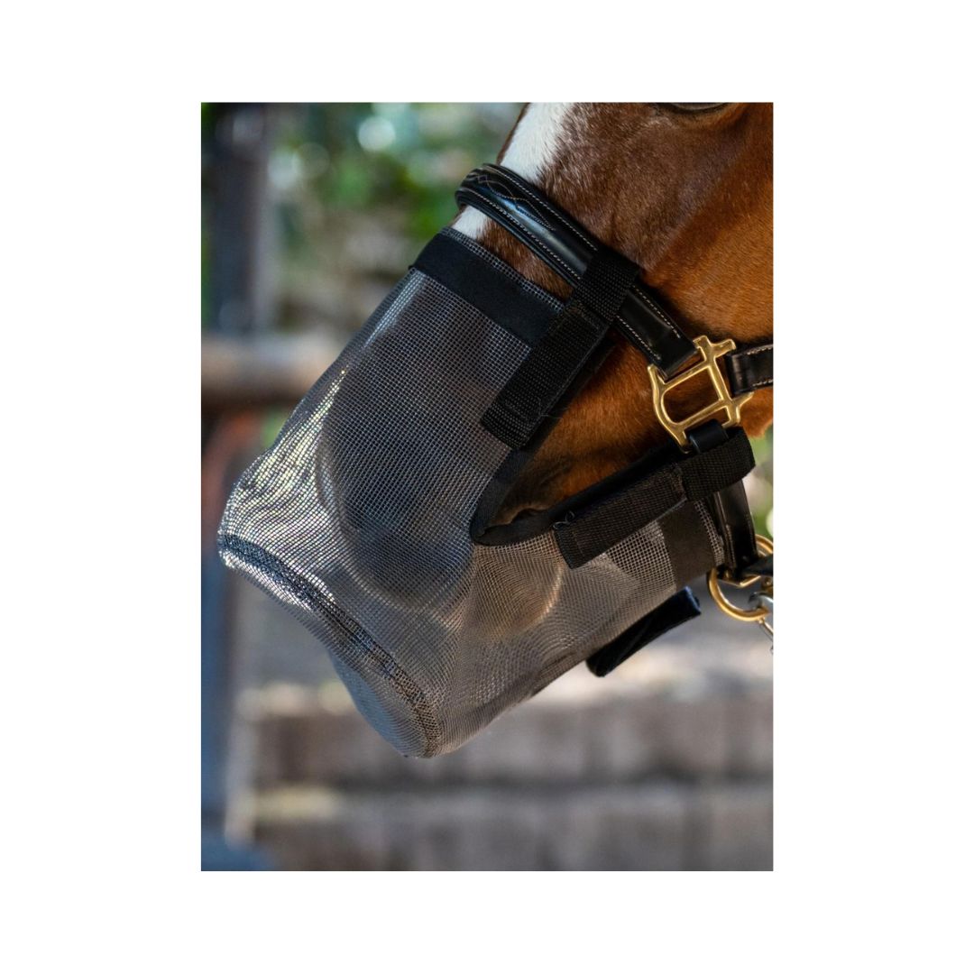 Rugged-Up horse and pony grazing muzzle designed to restrict pasture intake while allowing natural grazing behaviour