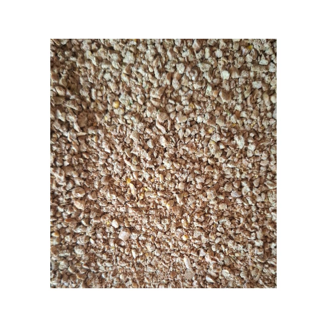 Growing Meal