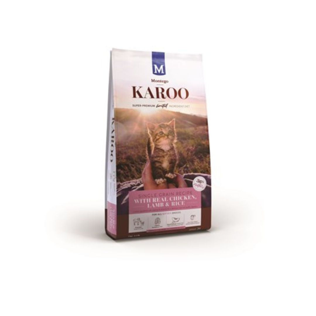 Montego Karoo Kitten