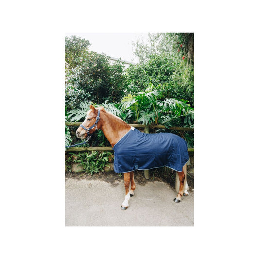 Rugged-Up Lightweight cotton sheet with Fleece Lining