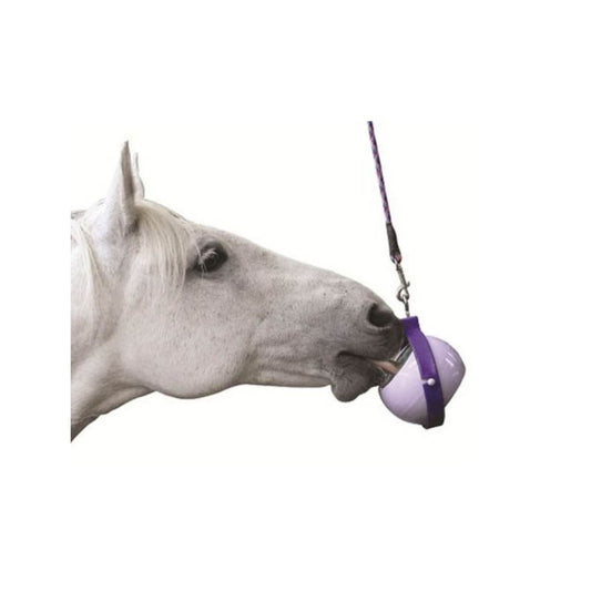 Likit Boredom Buster - Purple