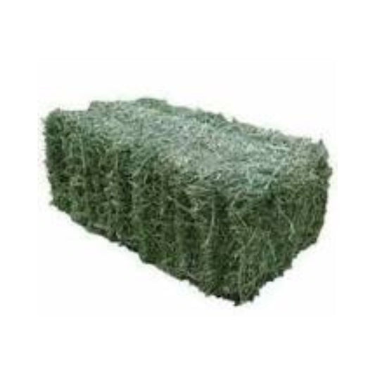 Lucerne Bale