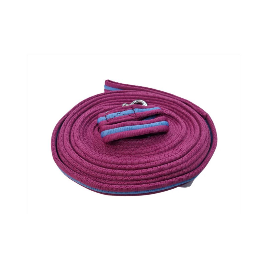 Lunge Lead
