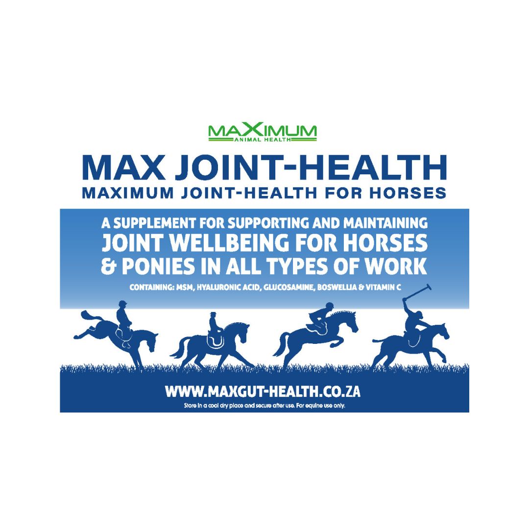 Max Joint Health 750g