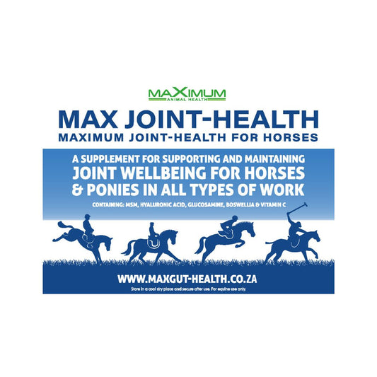 Max Joint Health 750g