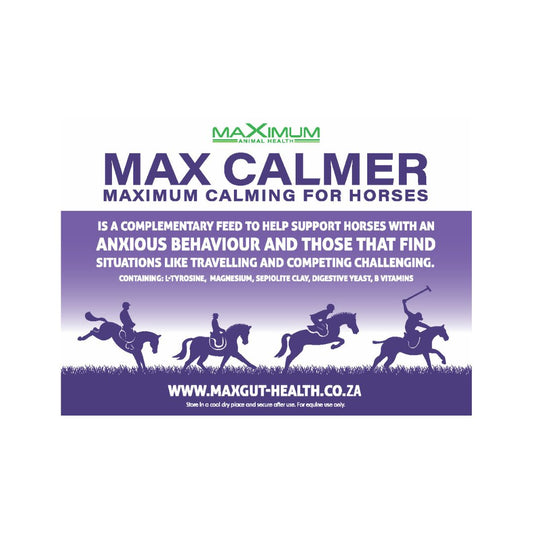 Max Calmer