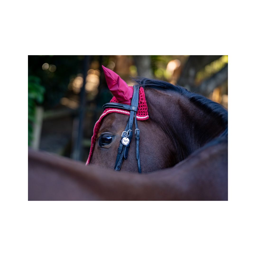 Rugged-Up Tie Down Ear Veil