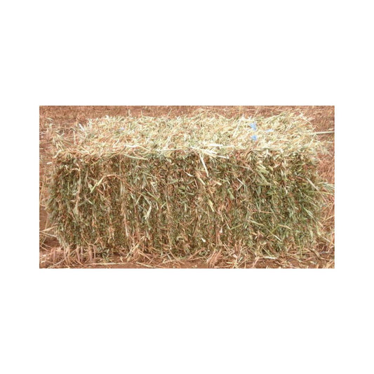 Oathay Bale