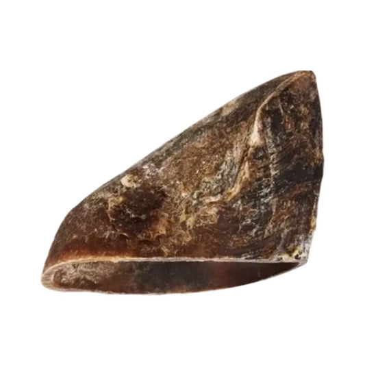 Ox Hoof
