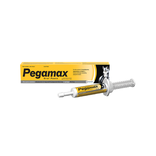 Pegamax Oral Paste 32.4g abamectin praziquantel broad-spectrum horse dewormer