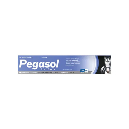 Pegasol Oral Paste 26g broad-spectrum horse dewormer for pinworms ascarids and strongyles