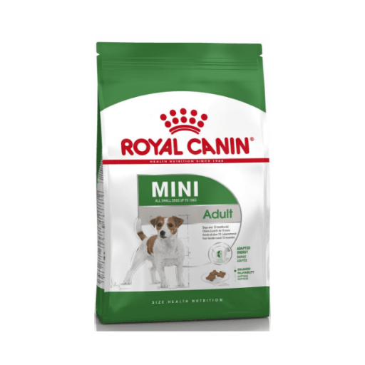 RC Mini-Adult-