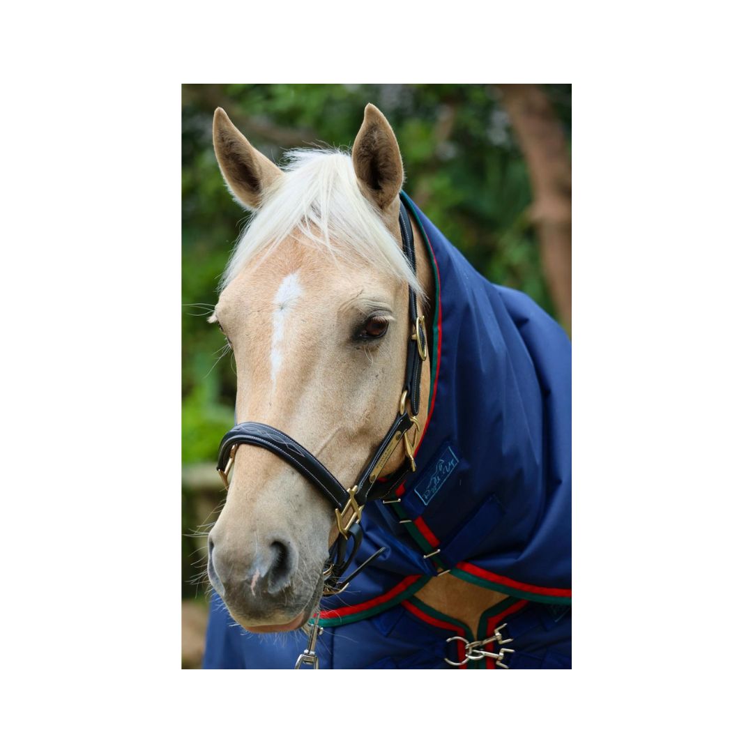 Rugged-Up Rain Duvet Neck