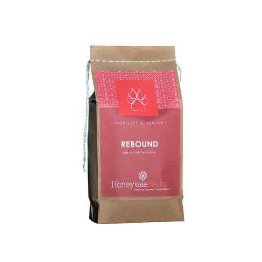 Honeyvale Herbs Rebound Arthritis Relief