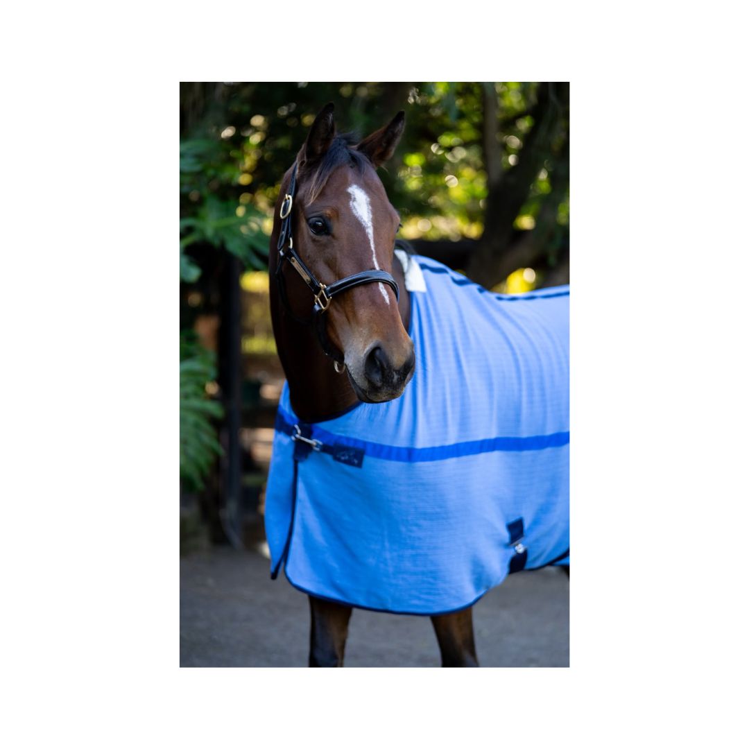 Close-up of 540gsm 100% cotton cellular weave on Rugged-Up horse blanket Blue