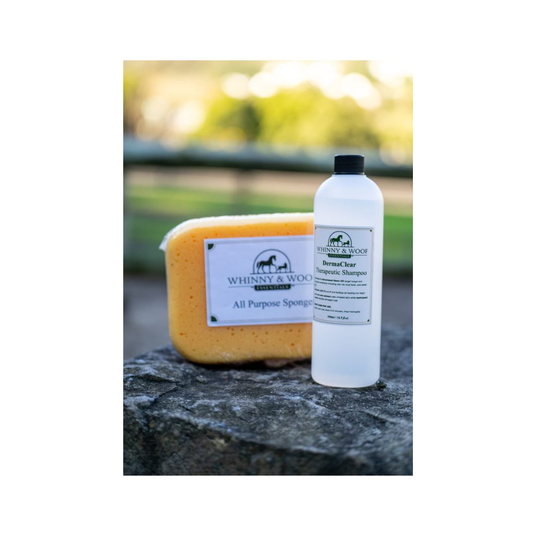 W&W Essentials All Purpose Sponge