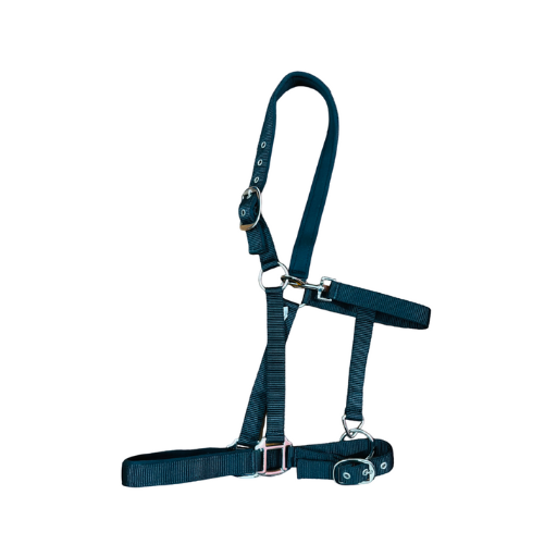 Tack &amp; Leather Indiana Neoprene Padded Nylon Halter 1