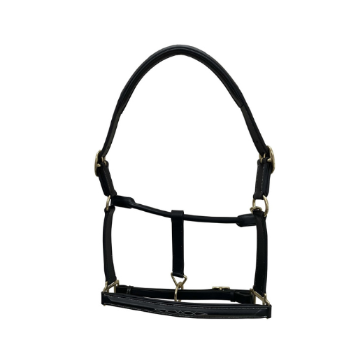 Tack &amp; Leather Indiana Raised F_S Halter 1_ - Black