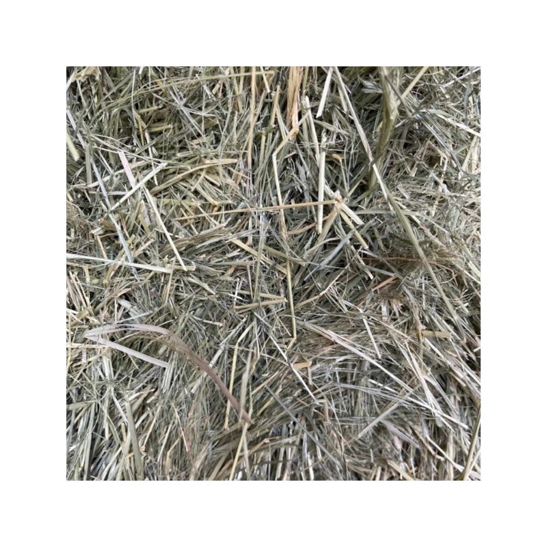 Teff - Small Bag