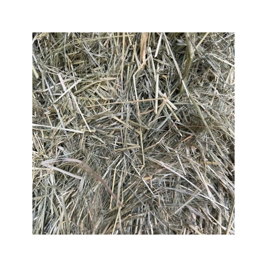 Teff - Small Bag