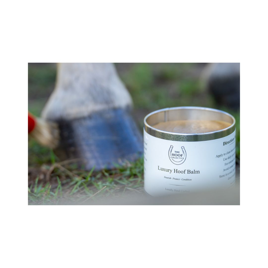 The Hoof Collective Luxury Hoof Balm
