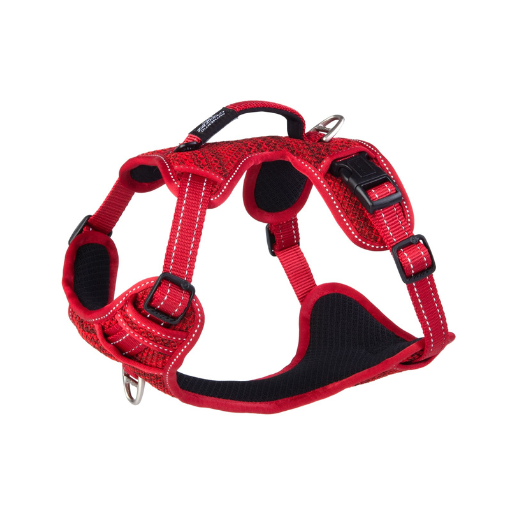Utility Explore Harness Large - Red