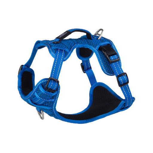 Utility Explore Harness Medium – Blue