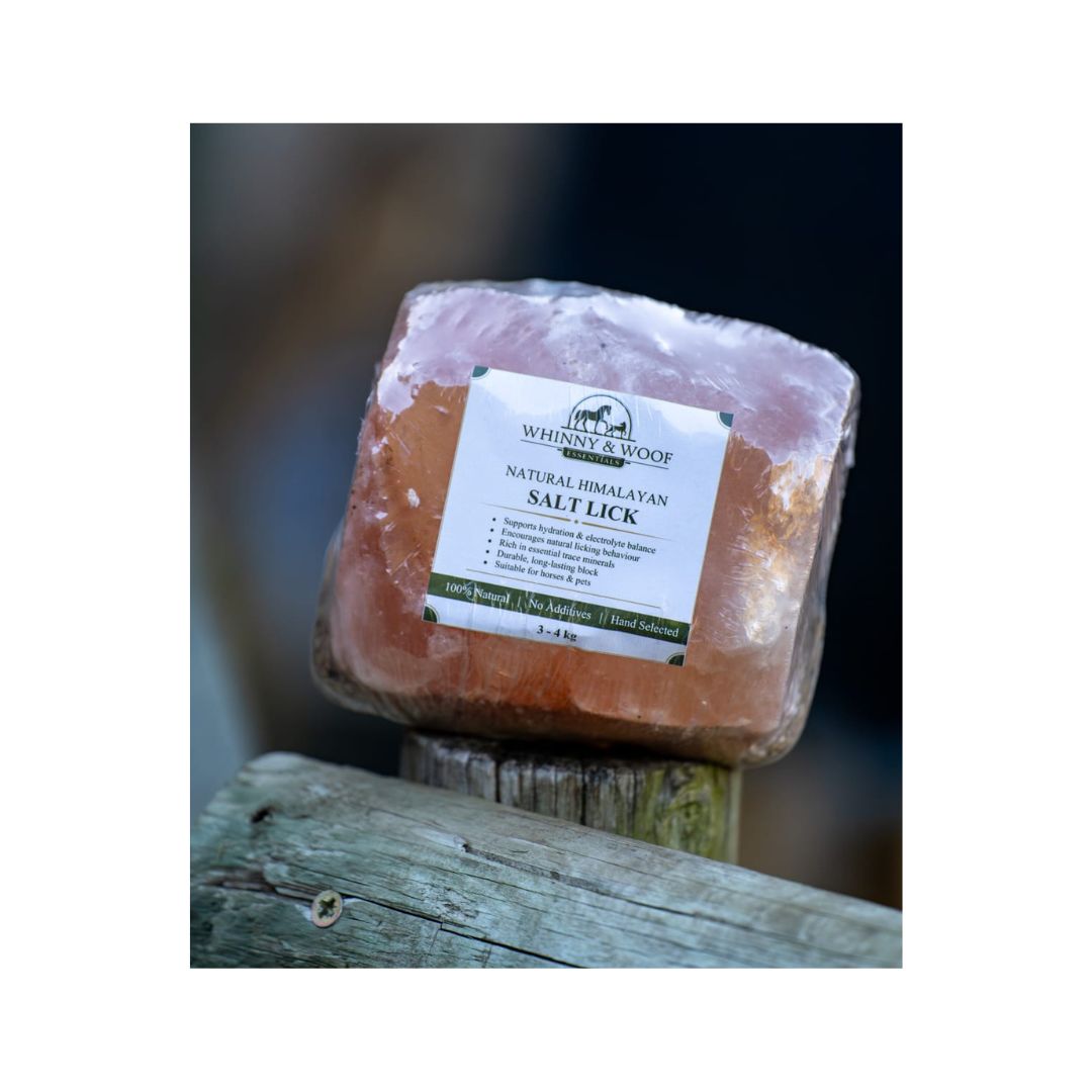 W&W Essentials Himalayan Salt Lick 3-4kg
