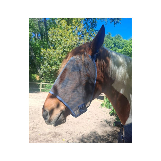 Rugged-Up Fly Mask