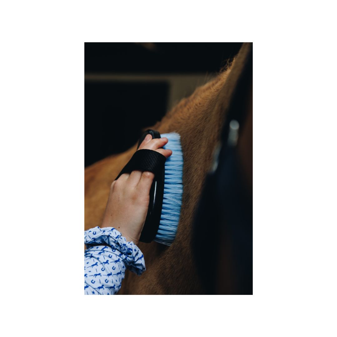 W&W Blue Grooming Kit in a Box