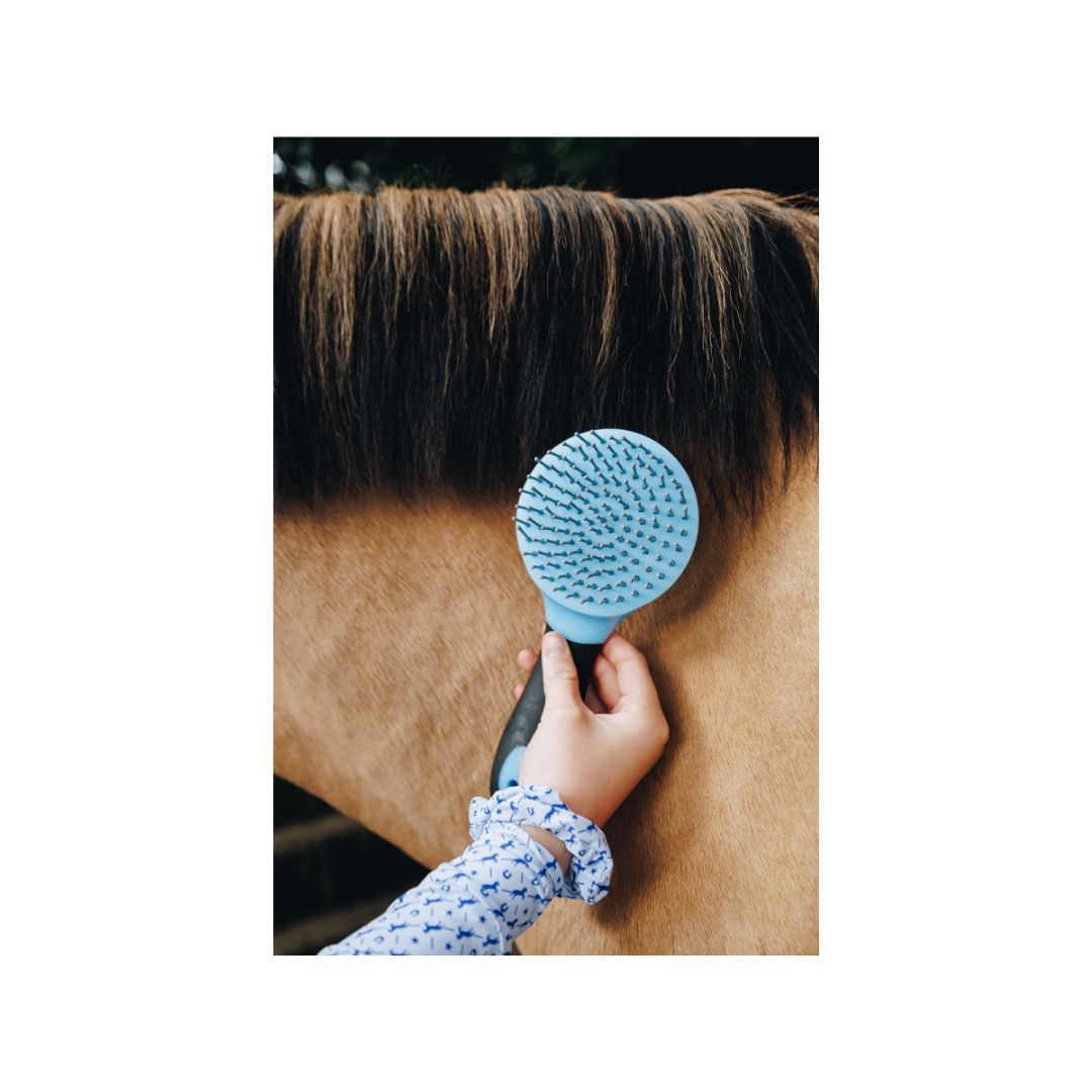 W&W Blue Grooming Kit in a Box