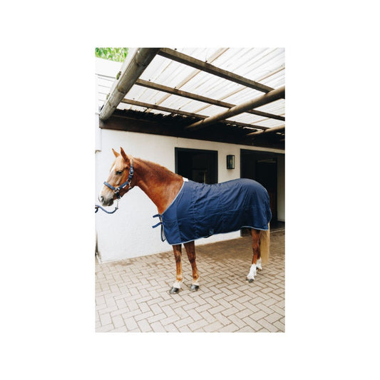 Rugged-Up Lightweight Cotton Sheet With Cotton Lining