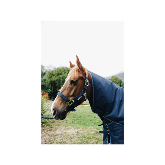 Indiana Neoprene Padded Nylon Halter