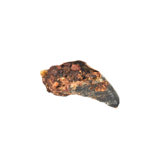 Pets Elite Peanut Butter Crunchie
