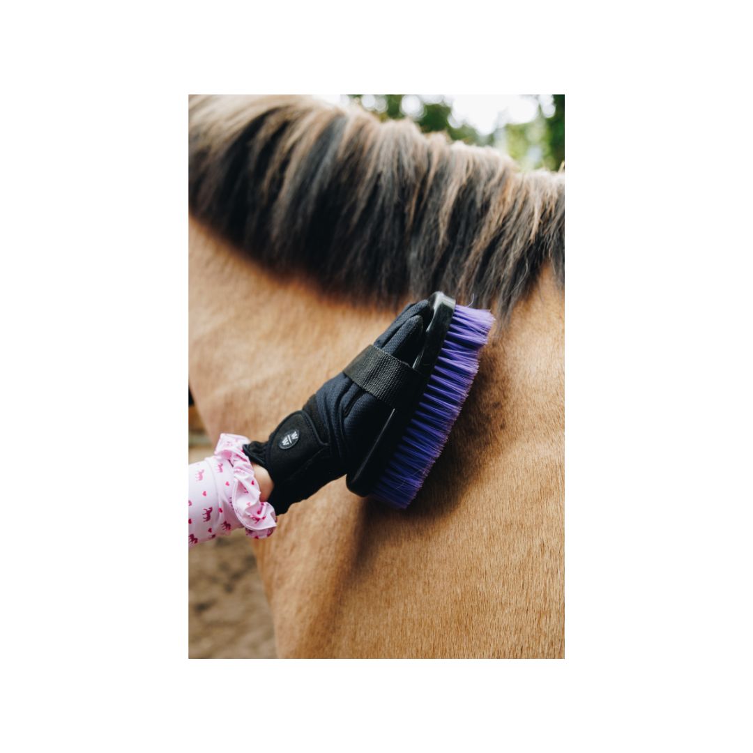 W&W Purple Grooming Kit in a bag