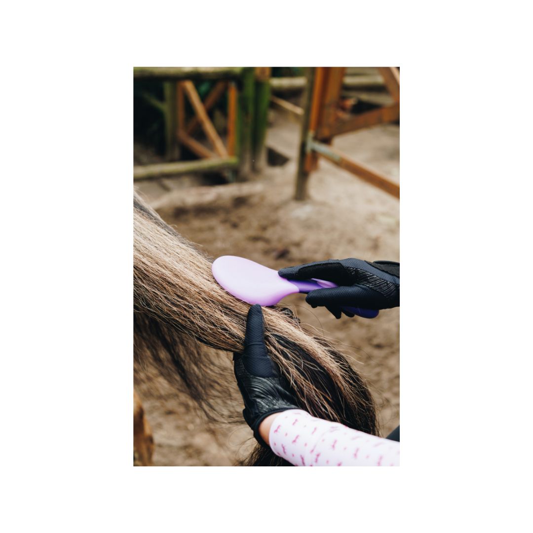 W&W Purple Grooming Kit in a bag