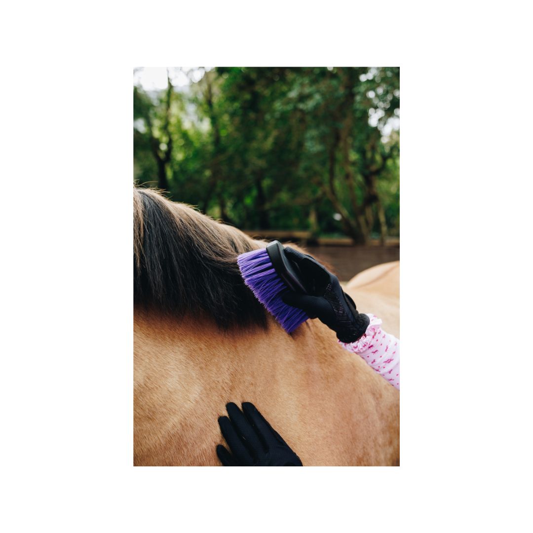 W&W Purple Grooming Kit in a bag