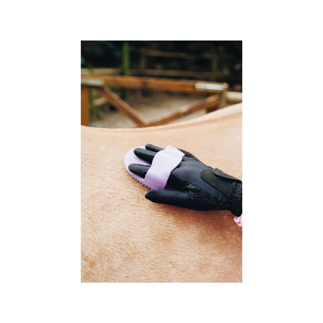 W&W Purple Grooming Kit in a bag