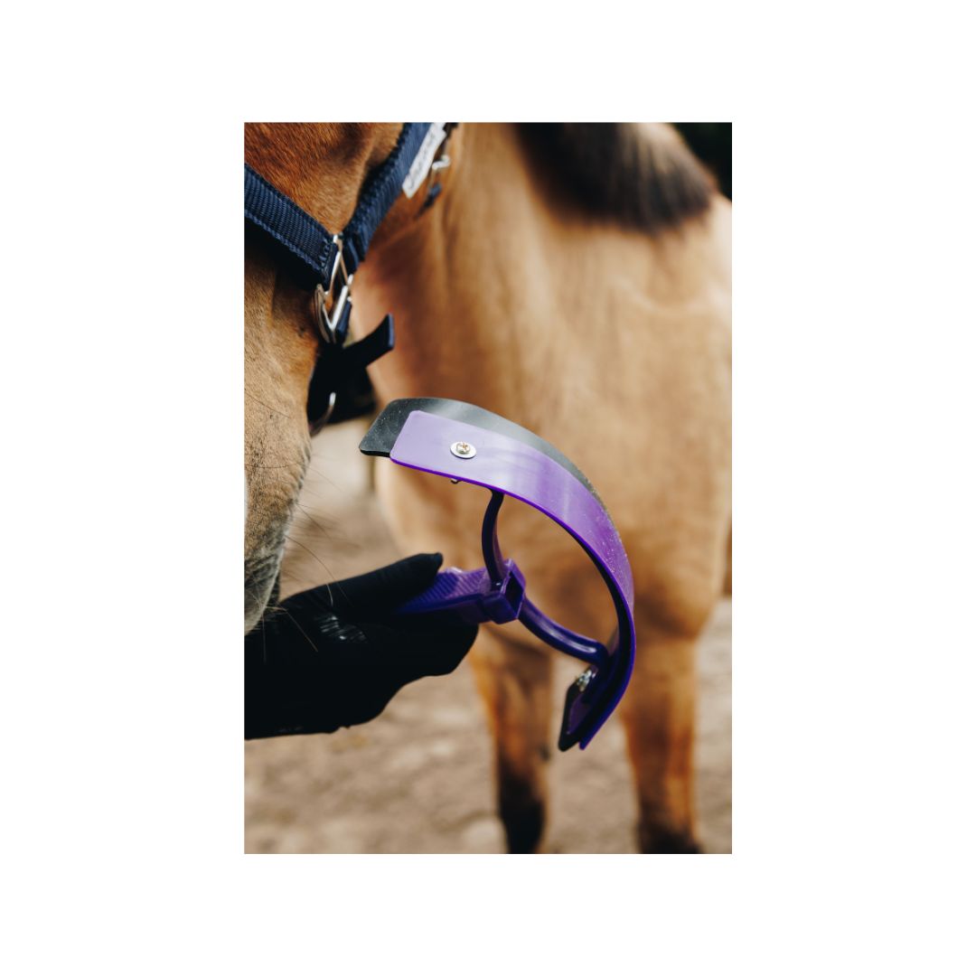 W&W Purple Grooming Kit in a bag