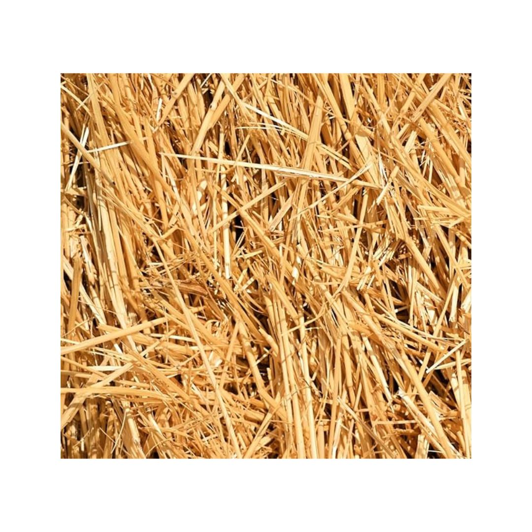 Straw - Small Bag