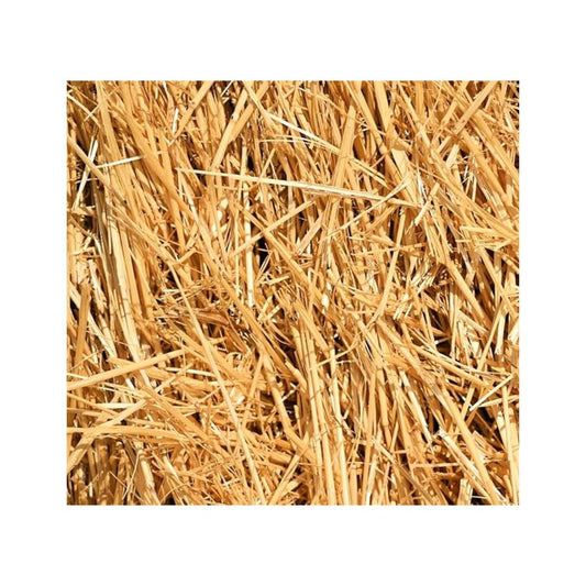 Straw - Small Bag
