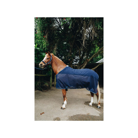 Rugged-Up Sweat Sheet shown on a horse, ideal for post-exercise cooling and everyday equestrian care.