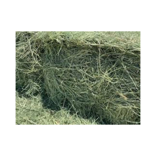 Teff Bale