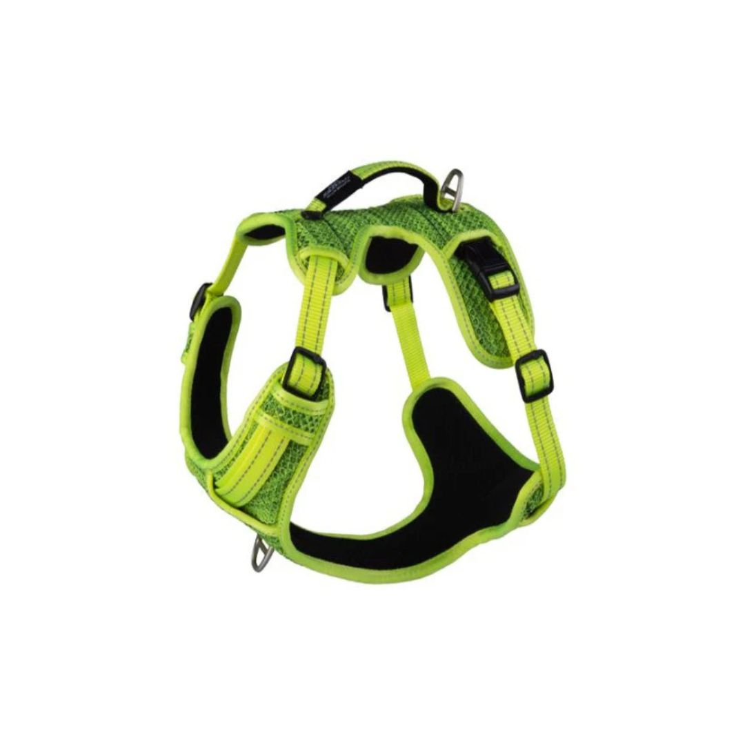 Rogz Utility Explore Harness